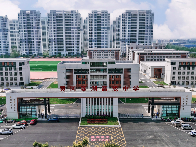 黄冈菱湖高级中学靠谱吗深度解析：行业专家视角 (https://huagong.lansai.wang/) 化工行情 第3张