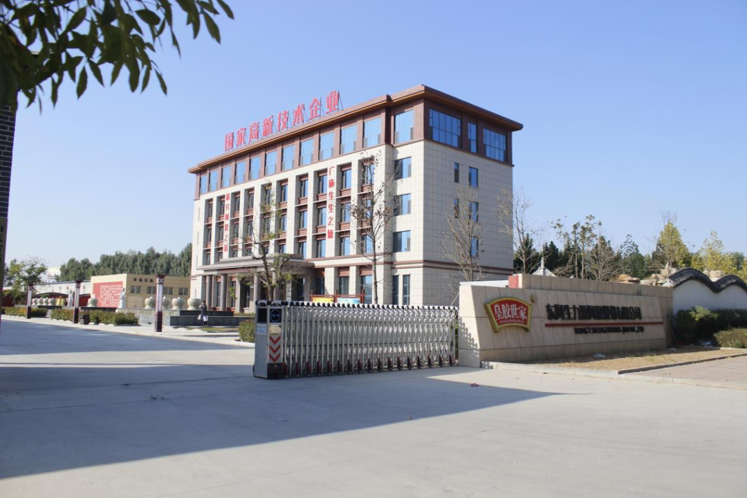 匠心守质,数字赋能|网站建设公司京鸿云携手东阿生力源阿胶:全域数字化赋能,让东阿好胶走向全国