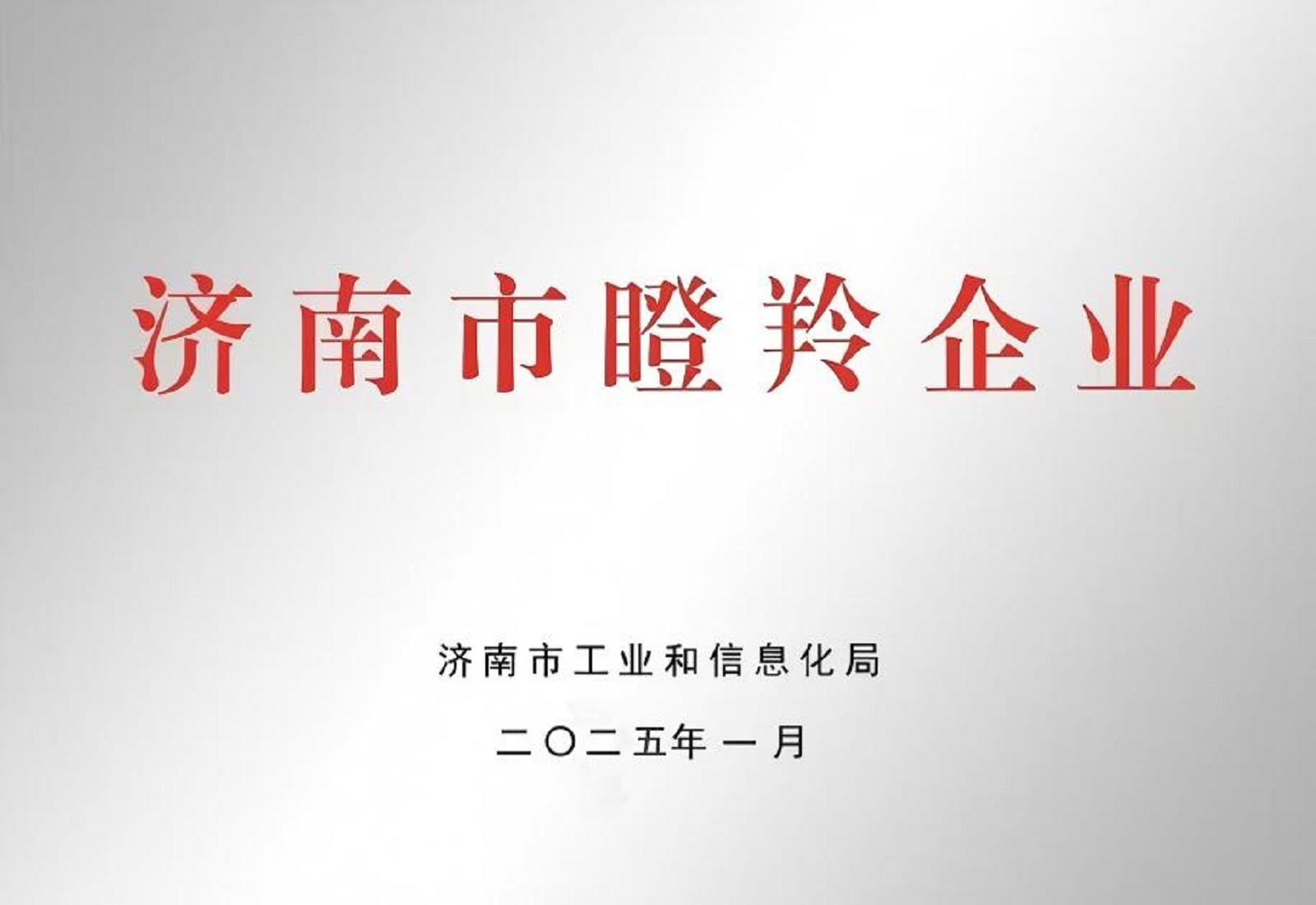 济南市瞪羚企业
